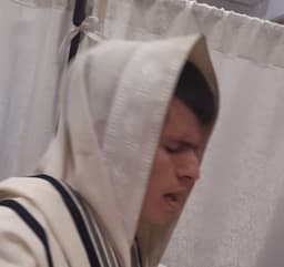 נדב ממן